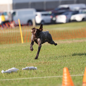 Catawba Valley Obedience Club, Hickory NC
